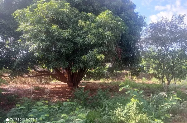 TE1195 - Terreno a venda,  Vila Progresso, Assis