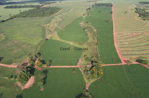 TE954 - PROPRIEDADE RURAL A VENDA NA REGIÃO DE QUATÁ