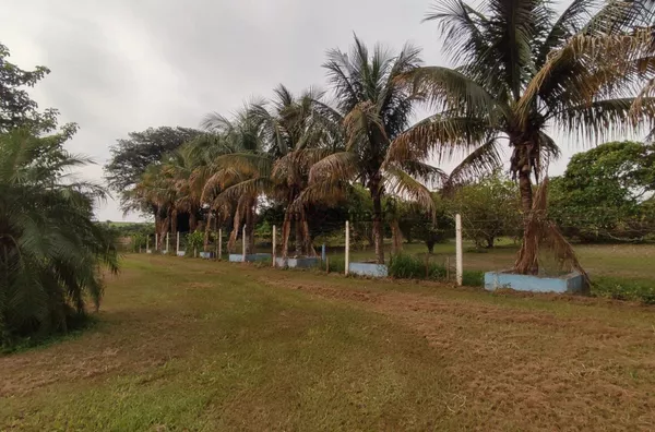 CH1332 - Chácara para venda na Água do Baixadão em Assis