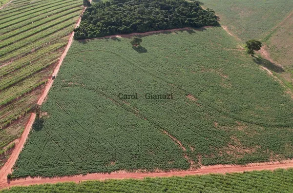 TE954 - PROPRIEDADE RURAL A VENDA NA REGIÃO DE QUATÁ
