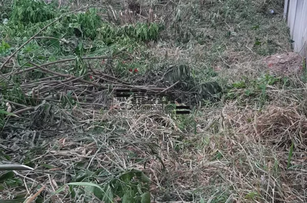 TERRENO - VILA ROMANOPOLIS