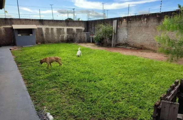 Casa para venda 3 quarto(s) aeroporto boa vista