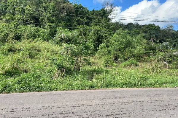 Terreno para venda,  Centro, Três Coroas