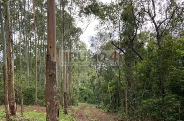 Sítio para venda,  - Selecione - Bairro, Igrejinha