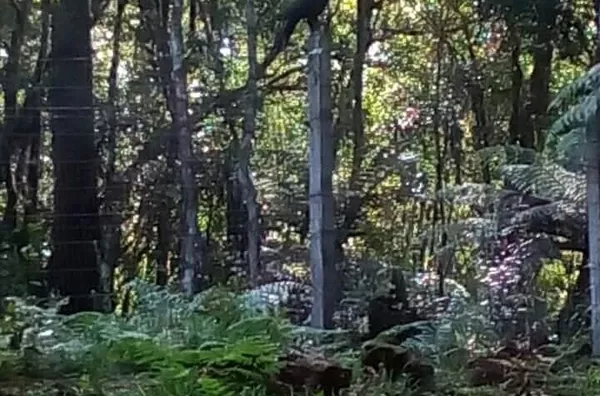 Terreno para venda,  Colinas De São Francisco, Sao Francisco De Paula