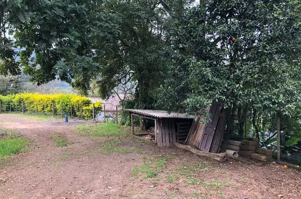 Sítio para venda, 4 quarto(s),  - Selecione - Bairro, Canela