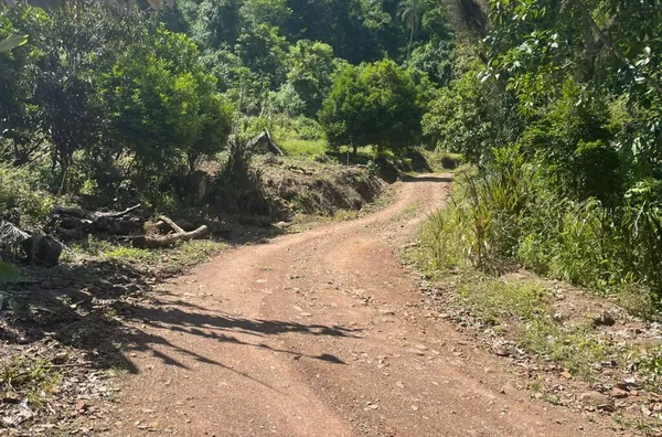 Sítio para venda,  Linha Café Baixa, Três Coroas