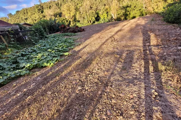Terreno para venda,  Loteamento Eucaliptos, Três Coroas