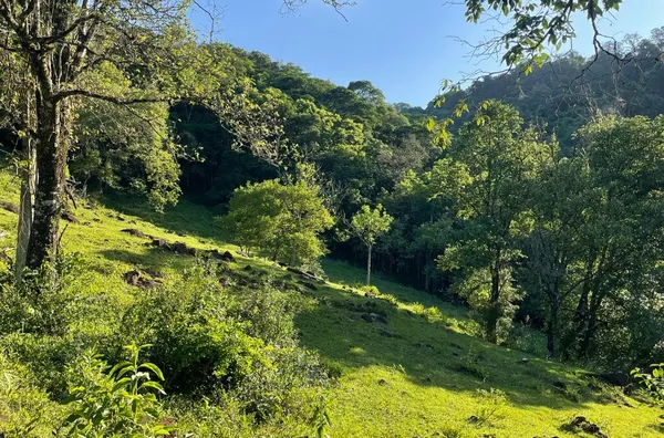 Terreno para venda,  Arroio Kampf, Igrejinha