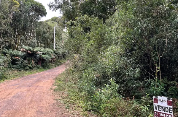 Terreno para venda,  Loteamento Colinas, Sao Francisco De Paula