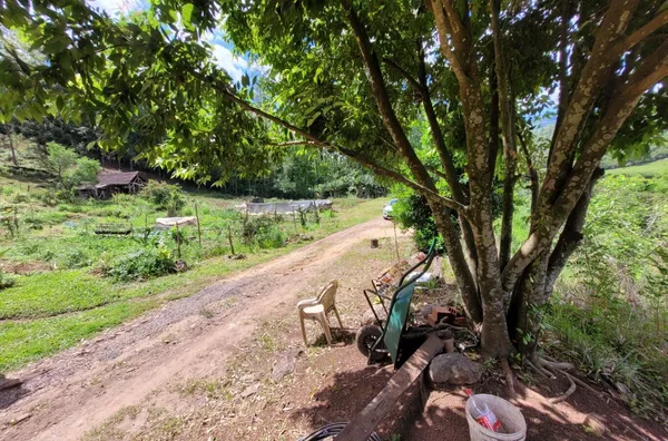 Sítio para venda, Linha Café Baixa, Três Coroas - Foto 14