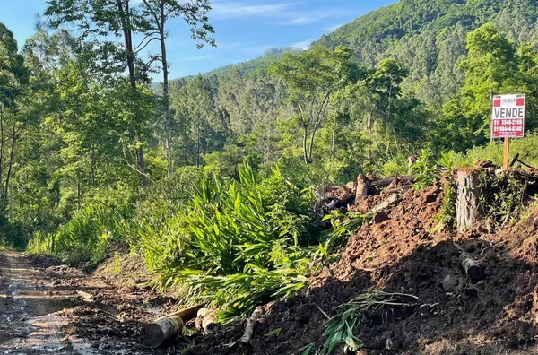 Sítio para venda,  Quilombo, Três Coroas