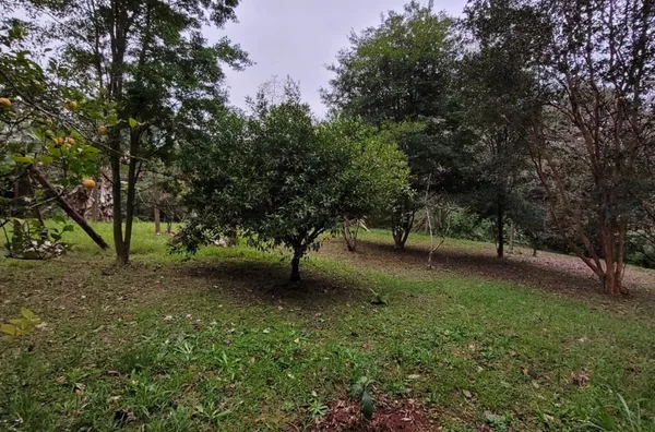Sítio para venda,  Rodeio Bonito, Três Coroas