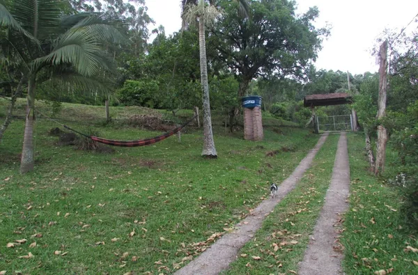 Sítio para venda,  Linha Café Baixa, Três Coroas
