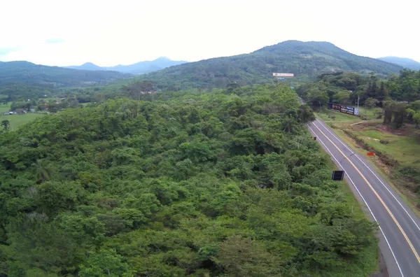 Sítio para venda,  Moreira, Três Coroas