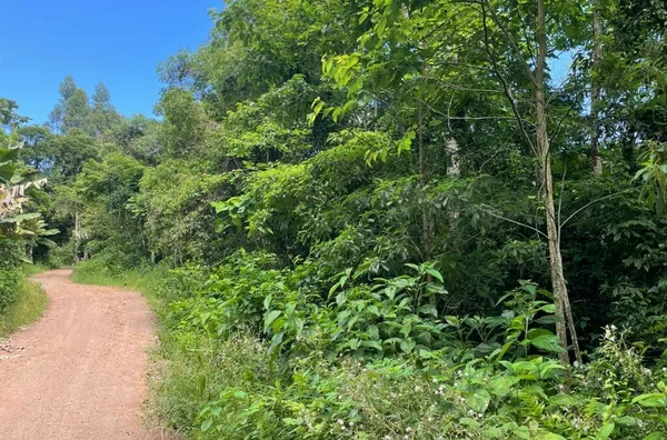 Sítio para venda,  Linha 28, Três Coroas