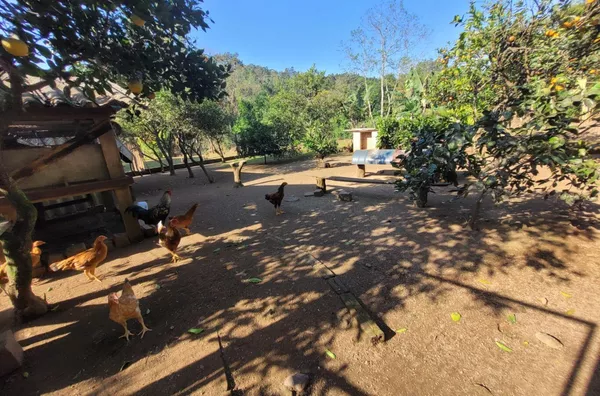 Casa para venda, 3 quarto(s),  Quilombo, Três Coroas - Foto 7