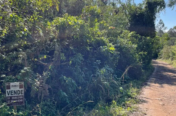 Sítio para venda,  Batingueira, Figueira, Três Coroas/RS