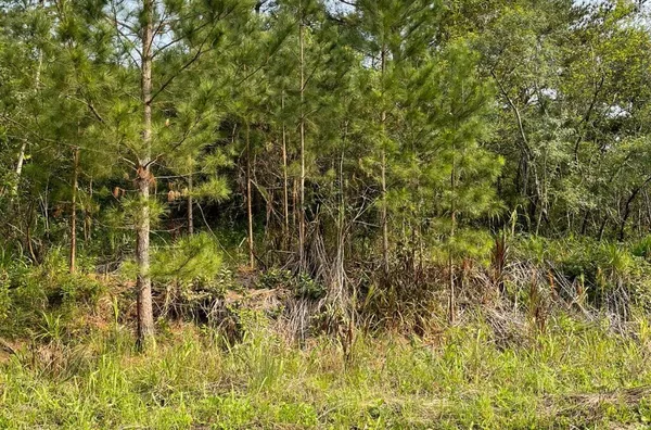 Terreno para venda,  Linha 28, Três Coroas