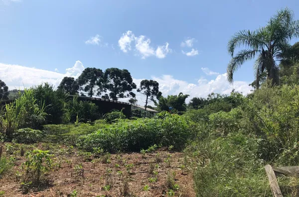 Terreno para venda,  Figueira, Três Coroas