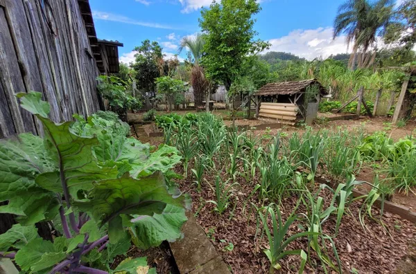 Casa para venda, 3 quarto(s), Quilombo, Três Coroas - Foto 13