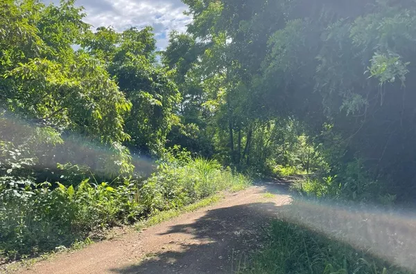 Sítio para venda,  Linha 28, Três Coroas