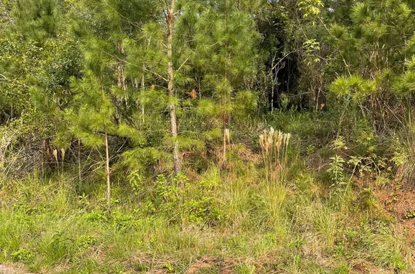 Terreno para venda,  Linha 28, Três Coroas