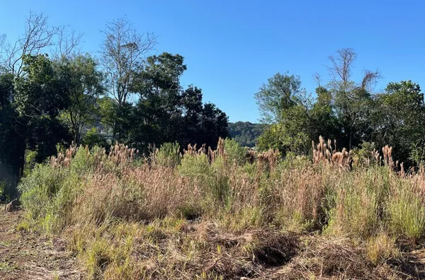 Terreno para venda,  Linha 28, Três Coroas
