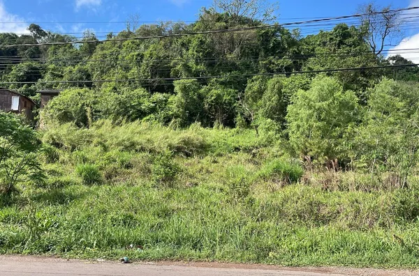 Terreno para venda,  Centro, Três Coroas