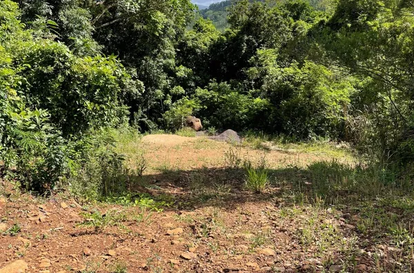 Sítio para venda,  - Selecione - Bairro, Três Coroas