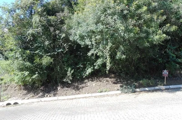 Terreno para venda,  Sander, Três Coroas