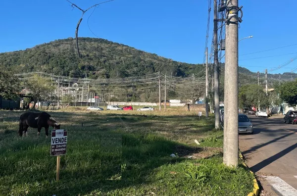 Terreno para venda,  Centro, Três Coroas