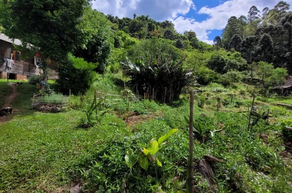 Sítio para venda, Linha Café Baixa, Três Coroas - Foto 25