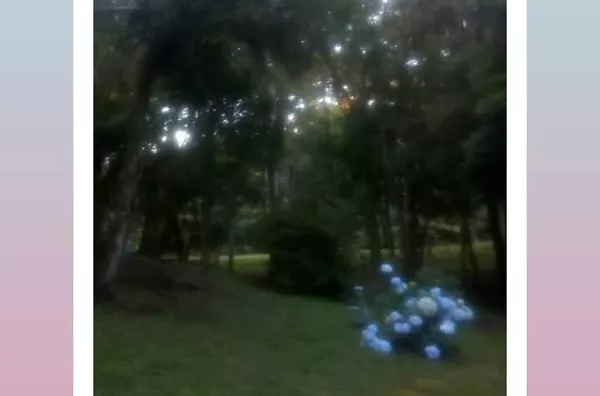 Terreno para venda,  Colinas De São Francisco, Sao Francisco De Paula