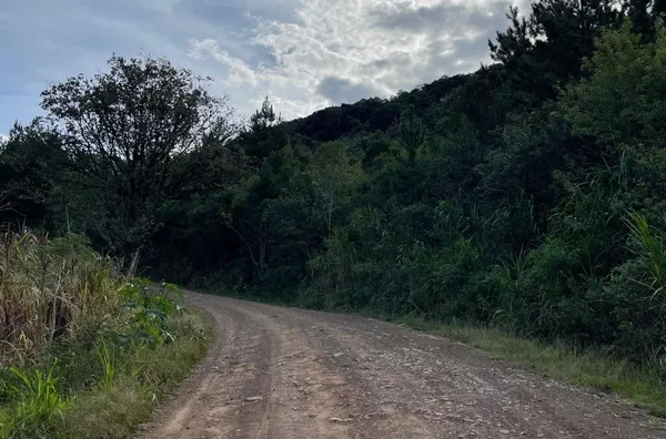 Sítio para venda,  Batingueira, Figueira, Três Coroas/RS