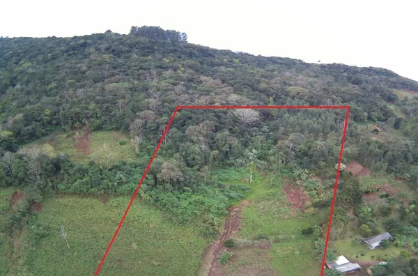 Sítio para venda, 2 quarto(s),  Linha Café Baixa, Três Coroas