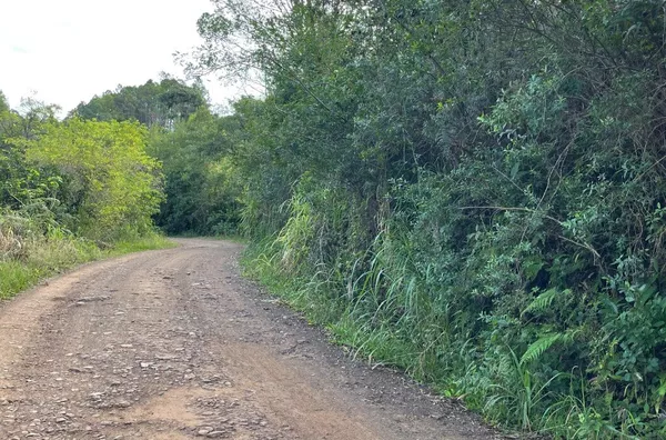 Sítio para venda,  Batingueira, Figueira, Três Coroas/RS
