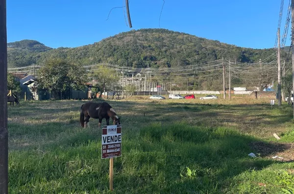 Terreno para venda,  Centro, Três Coroas