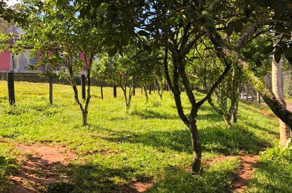 Terreno para venda,  Aguas Brancas, Três Coroas