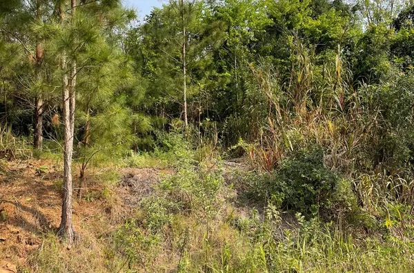 Terreno para venda,  - Selecione - Bairro, Três Coroas