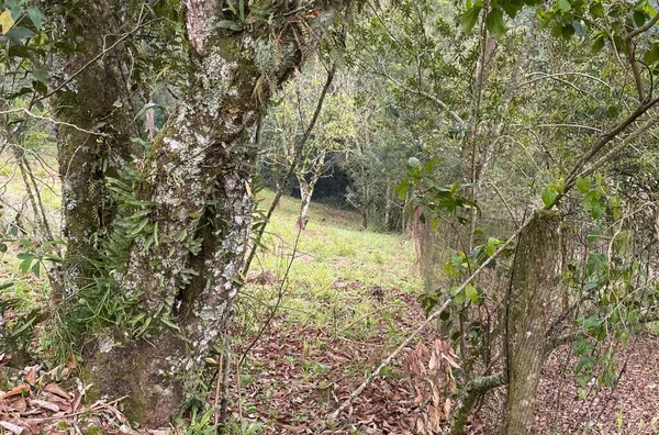 Terreno para venda,  - Selecione - Bairro, Três Coroas