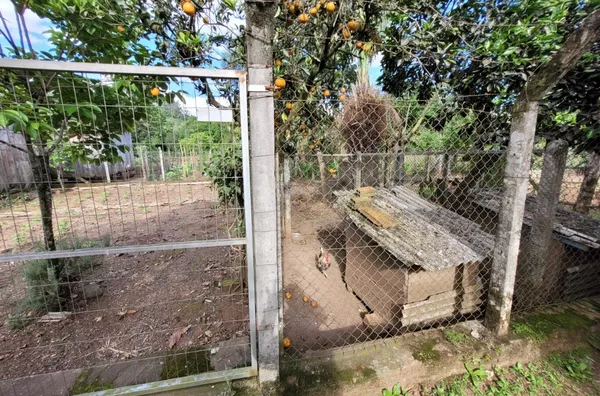 Casa para venda, 3 quarto(s), Quilombo, Três Coroas - Foto 18