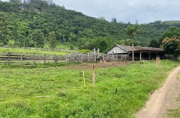 Sítio para venda,  Linha 28, Três Coroas