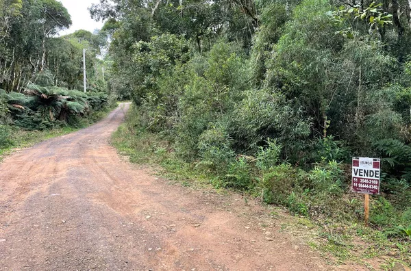 Terreno para venda,  Loteamento Colinas, Sao Francisco De Paula