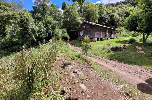 Sítio para venda, Linha Café Baixa, Três Coroas - Foto 17