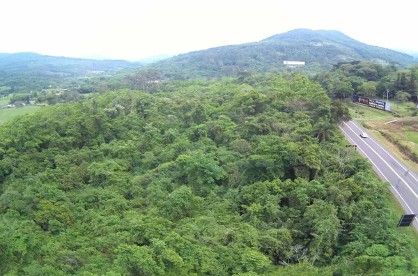 Sítio para venda,  Moreira, Três Coroas