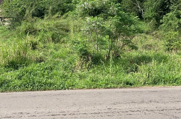 Terreno para venda,  Centro, Três Coroas