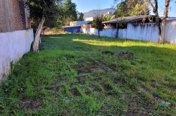 Terreno para venda e aluguel,  Centro, Três Coroas