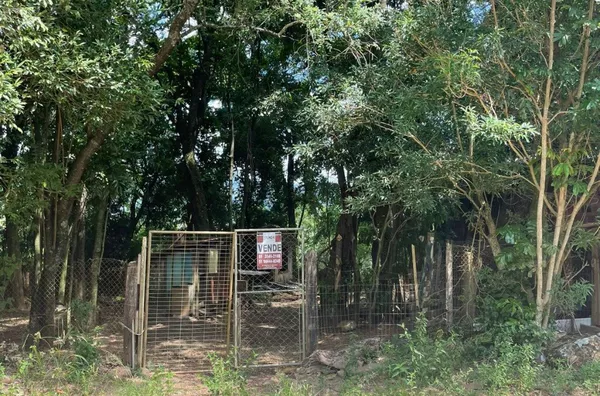 Sítio para venda,  Linha 28, Três Coroas