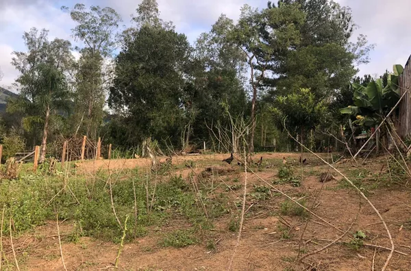 Terreno para venda,  Linha Café Baixa, Três Coroas